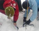 Icicle SPECIAL OFFERS - Avalanche CPD day for IMLs