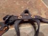 Camp Alp 95 Harness