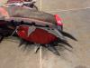 Camp C12 Crampon semi automatic