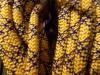 Tendon Ambition 50m, 8.5mm Half Rope