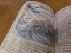 Snow-Finder France Guide Book